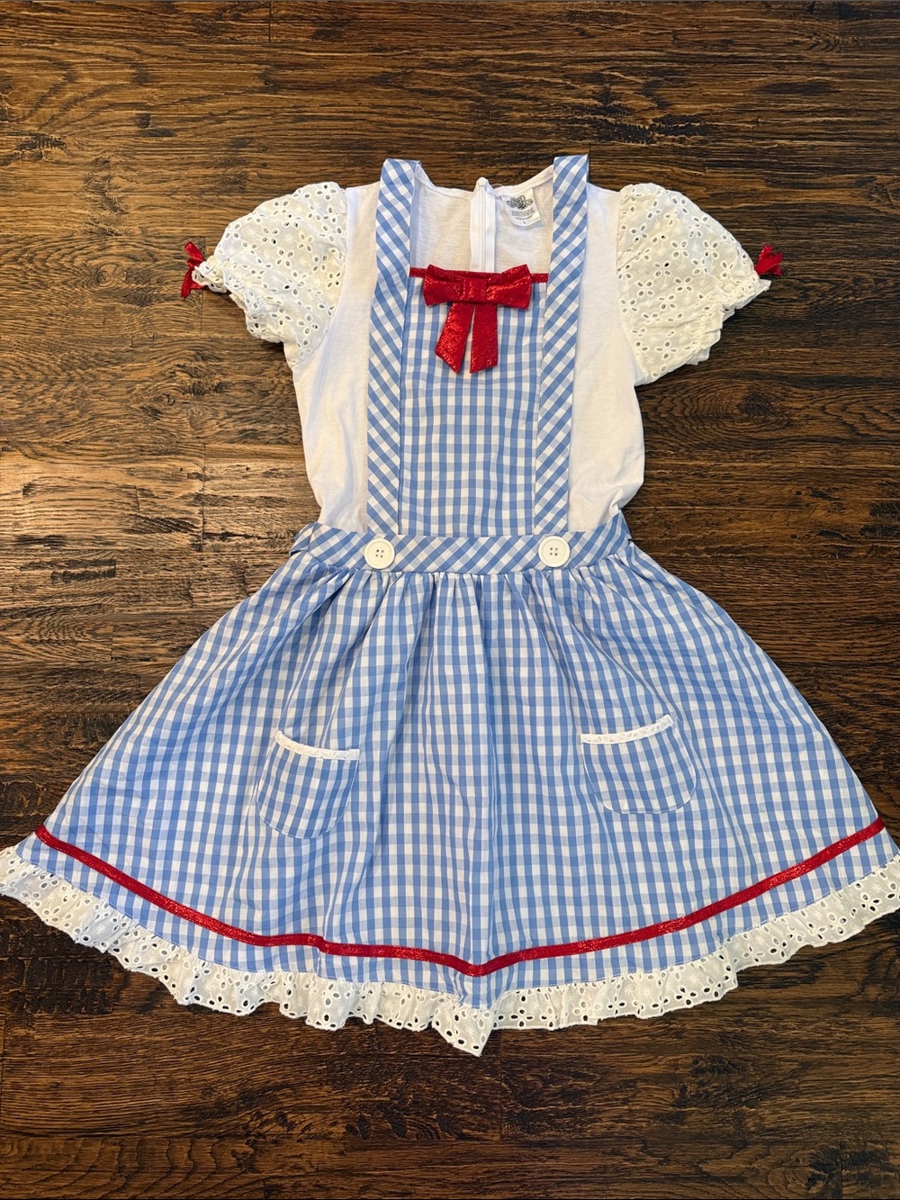 Blue Gingham Dorothy Suspender Dress Costume with Red Accents